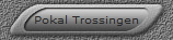 Pokal Trossingen