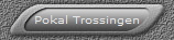 Pokal Trossingen
