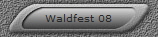 Waldfest 08