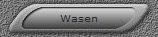 Wasen
