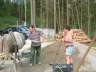 db_Neub__0233
